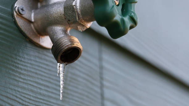 Best Local Plumber Services  in Sevierville, TN